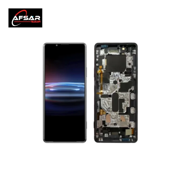 Sony Xperia Pro-I Display